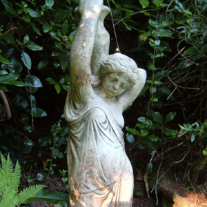 garden-5