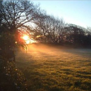 sunrise over front lawn